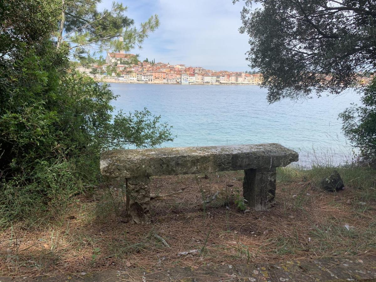 "Art House" Rovinj-Holiday, Holiday Home To Rent Rovinjsko Selo Bagian luar foto